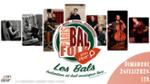 Le gros bal de Paris Bal Folk avec Duo Rivaud-Lacouchie - Le Grand Barouf - Diatocello