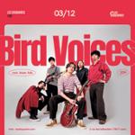 Bird Voices