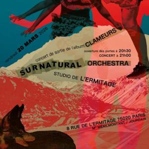 Surnatural Orchestra