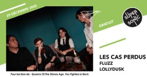 Les Cas Perdus • Fluzz • Lollydusk