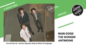 Rain Dogs • The Wonder • Antimoine