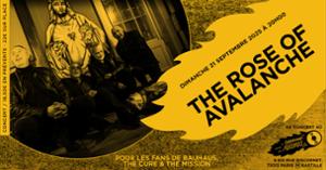 The Rose of Avalanche en concert (côté Records)