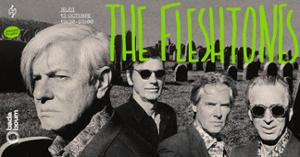 Concert — The Fleshtones