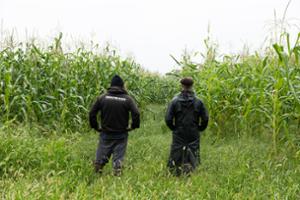 THE INSPECTOR CLUZO + 1ère partie