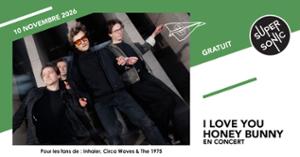 I Love You Honey Bunny