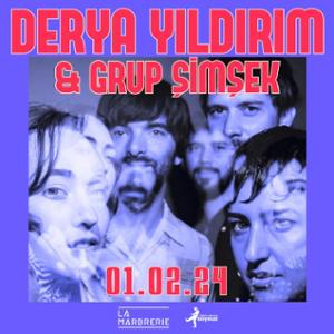 DERYA YILDIRIM & GRUP ŞIMŞEK