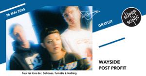 Wayside • Blanket • Dehors