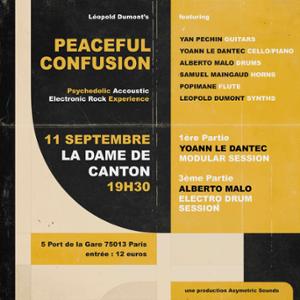 PEACEFUL CONFUSION de Léopold Dumont x Alberto Malo x Yoann Le Dantec