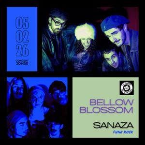 BELLOW BLOSSOM x SANAZA