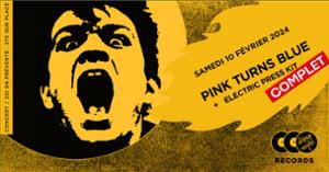 Pink Turns Blue en concert au Supersonic Records !