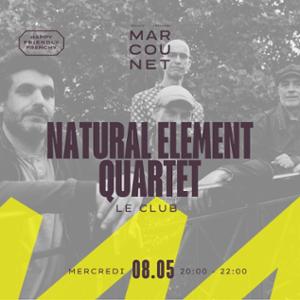 Natural Element Quartet