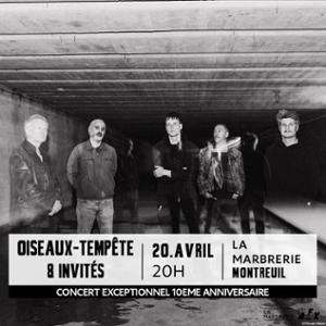 Oiseaux-Tempête