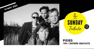 Sunday Tribute - The Pixies // Supersonic