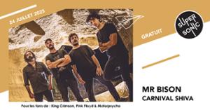 Mr BISON • Carnival Shiva