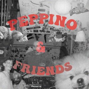 Peppino & Friends (DJ)