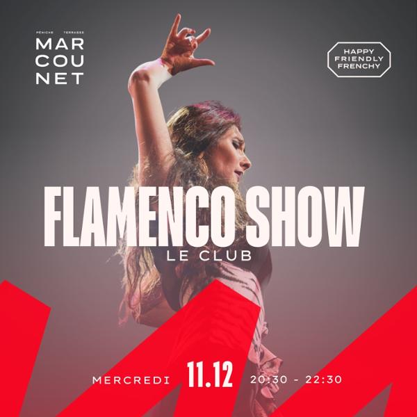 Flamenco Show