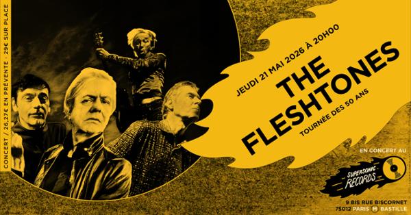 The Fleshtones en concert (côté Records)