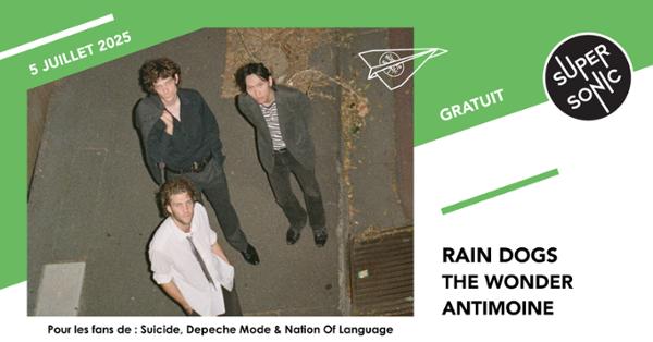Rain Dogs • The Wonder • Antimoine