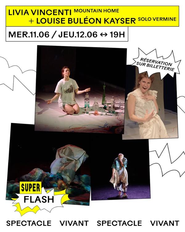 • SUPERFLASH - FESTIVAL SPECTACLE VIVANT •