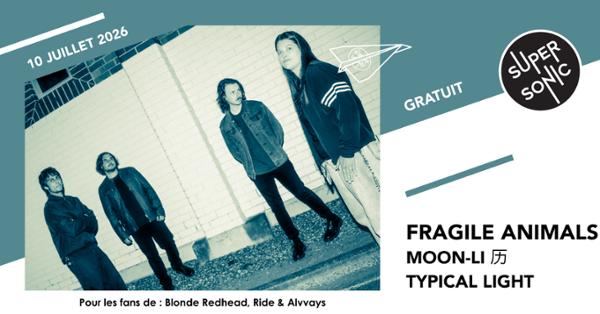 Fragile Animals • Moon-Li 历 • Typical Light