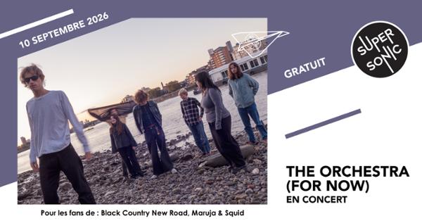 The Orchestra (For Now)