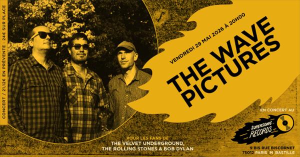 The Wave Pictures en concert (côté Records)