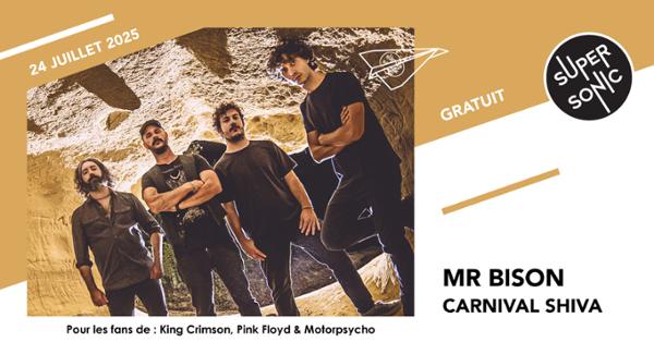 Mr BISON • Carnival Shiva