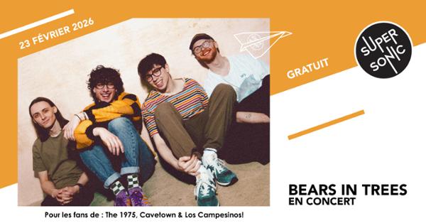 Bears in Trees